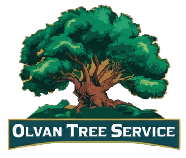 Olvan Tree Service