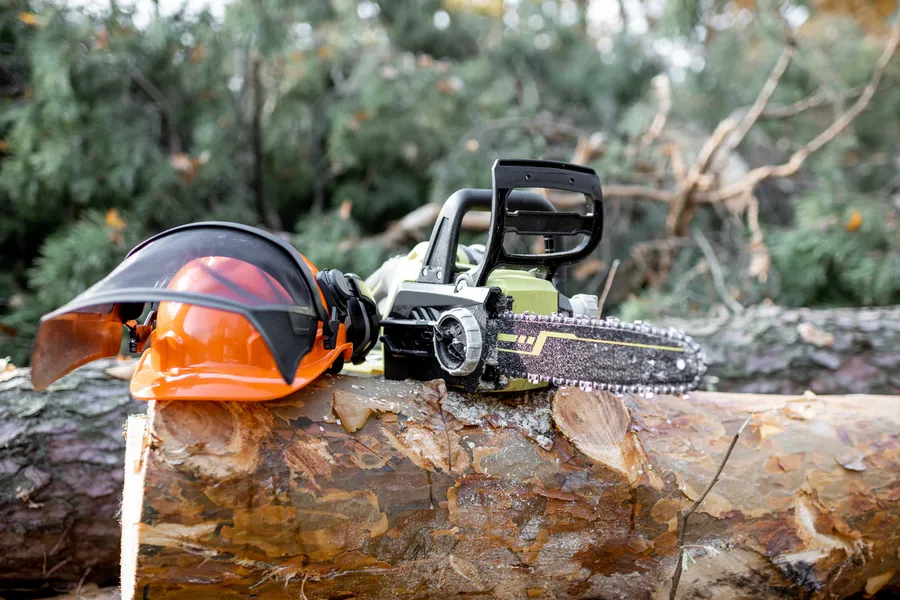 The Impact Of Tree Cutting On Your Yards Health Austin, TX The Impact Of Tree Cutting On Your Yards Health Austin, TX