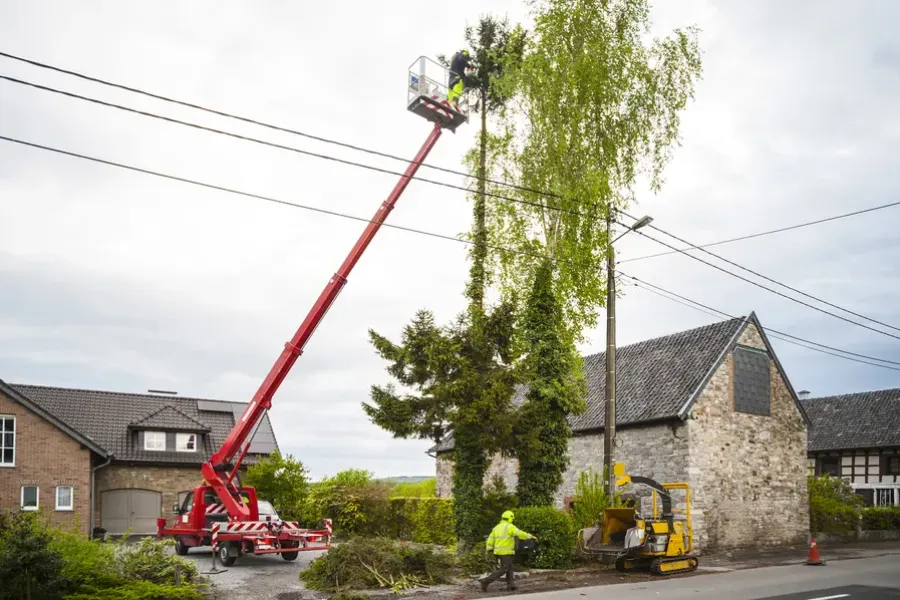 The Role Of Tree Trimming In Preventing Storm Damage in Austin, TX